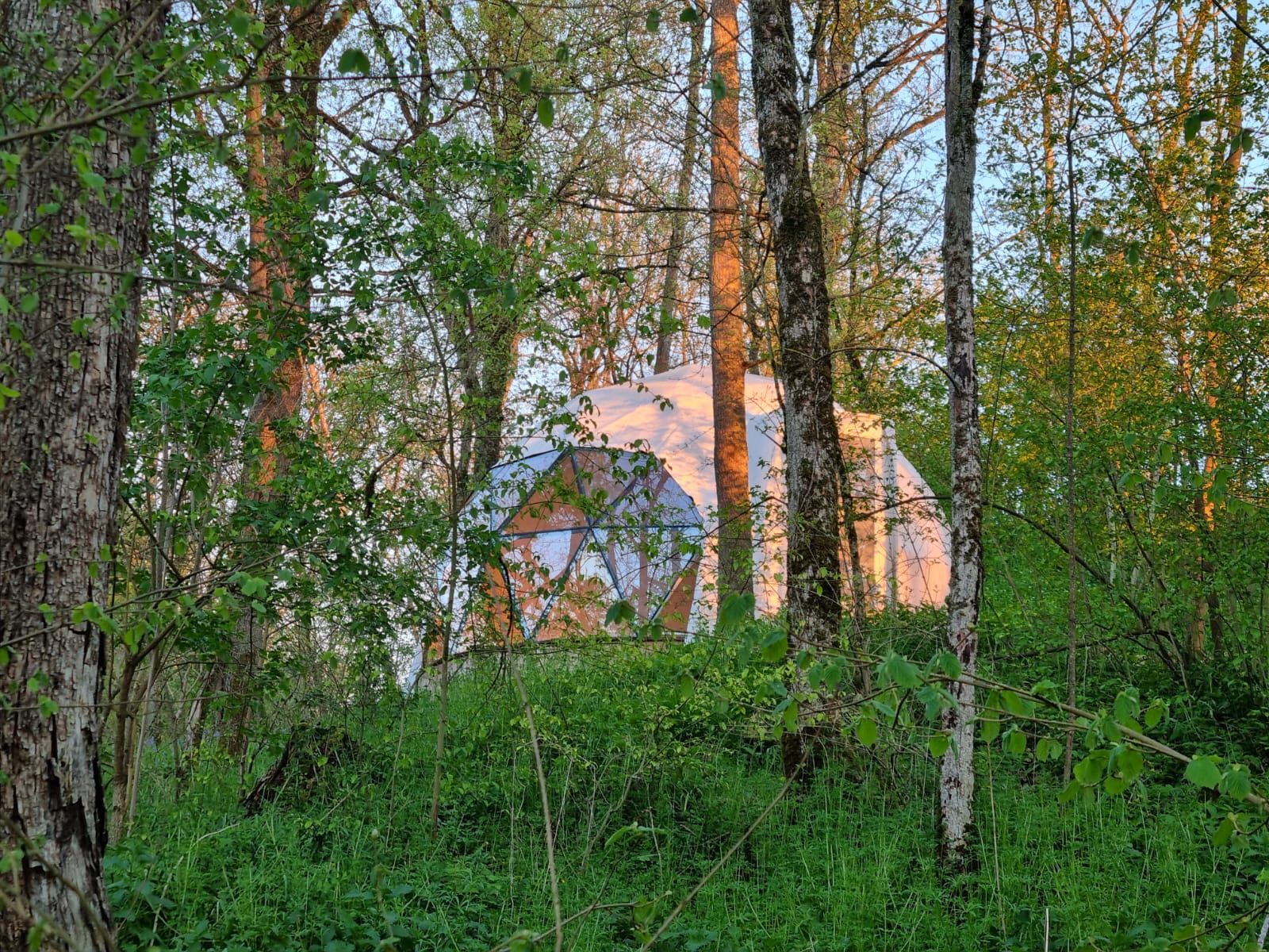 dome