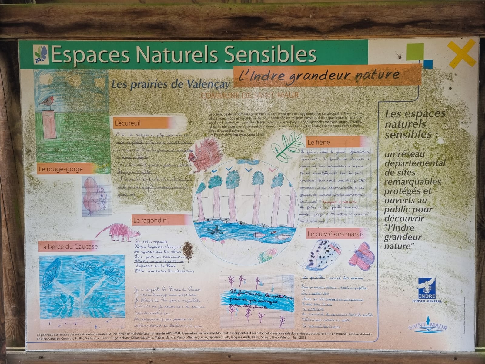 prairies naturelles sensibles Saint-maur
